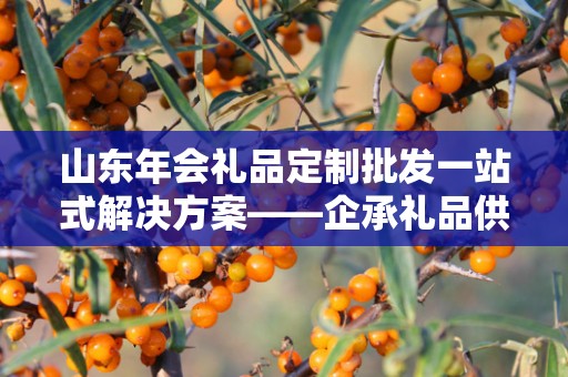 山东年会礼品定制批发一站式解决方案——企承礼品供应链